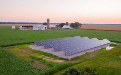 Solar Farming: 6 Key Ways Solar Can Help Your Farm