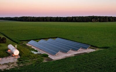 7 Ways Solar Can Help Your Farm